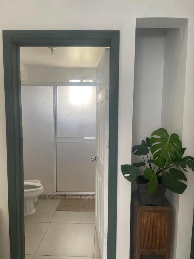 Habitaciones En Casa Casiopea ティファナ エクステリア 写真